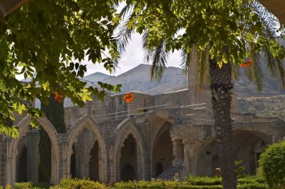 CRW_8381.jpg
