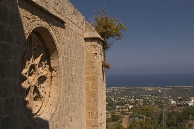 CRW_8427.jpg
