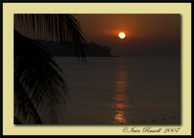 EPV0029-3.jpg Palm sunset