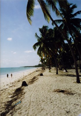 Beach at Jambiani.jpg