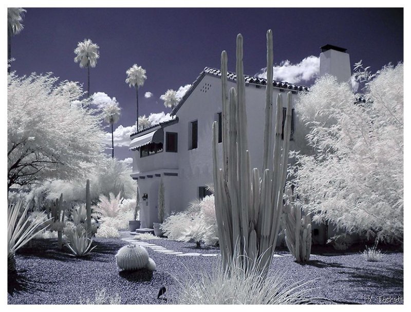 Tucson #3