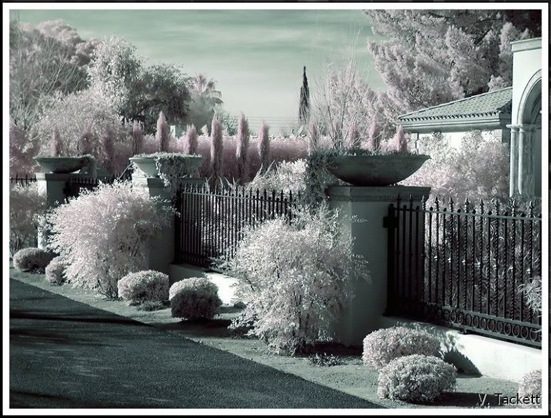 Tucson #6