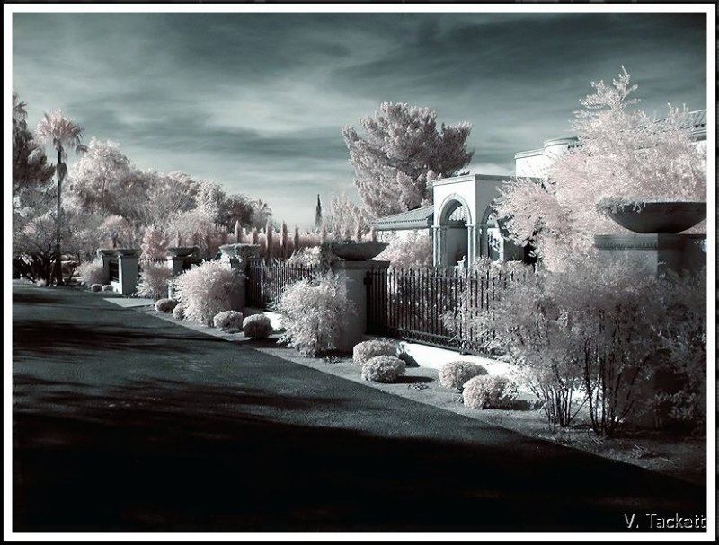 Tucson #8