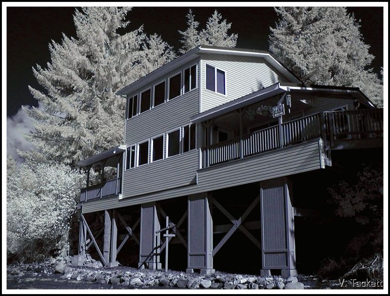 My Old House