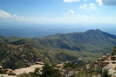 Mount Lemmon #11