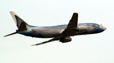 Salmon Plane