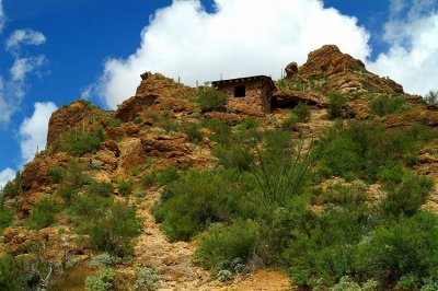 Tucson Mountain Park #3