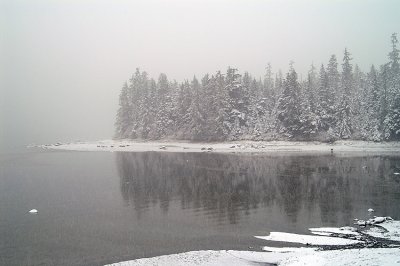 11-06-06 Snow #1