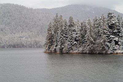 11-06-06 Snow #2