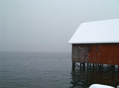 11-06-06 Snow #3