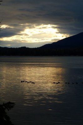 Last Light #2