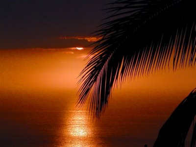 Hawaii Sunset #8