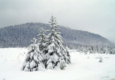 11-28-06 Snow