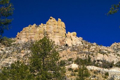 Mt Lemmon  #1