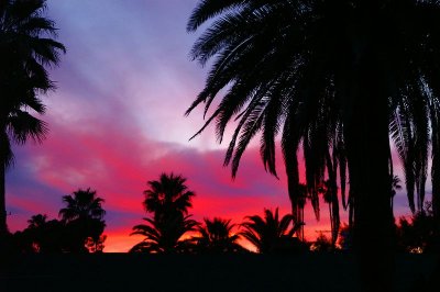 Tucson Sunset #6