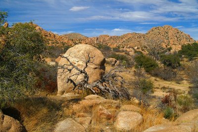 Texas Canyon #4