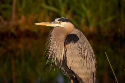 IMG_7976.jpg