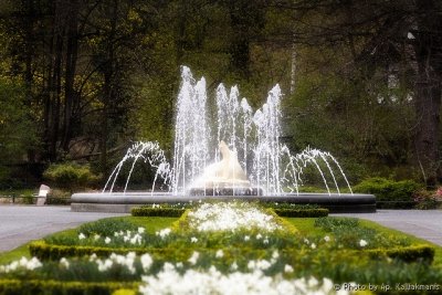 Berlin Zoo