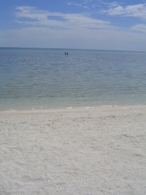 Me havin a paddle at shell beach - far away & close up!.JPG