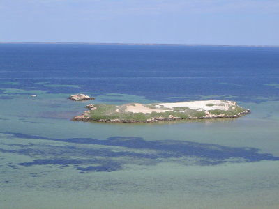 Shark Bay (2).JPG
