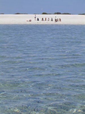 Shell Beach (1).JPG