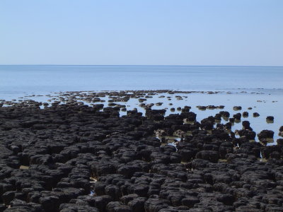 Stromatolites - oldest life form on earth (2).JPG