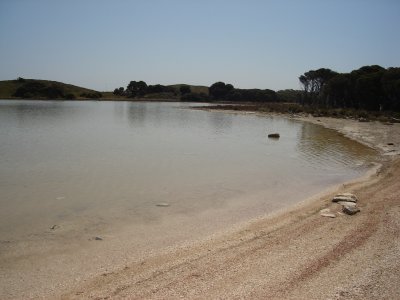 An inland lake on Rotto (1).JPG