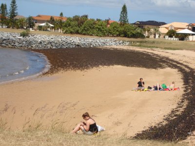 Sunbathing at Raby Bay (1).JPG