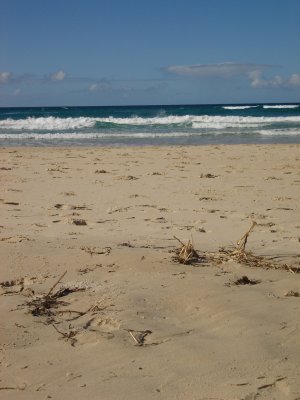 Straddie's Coast (2).JPG