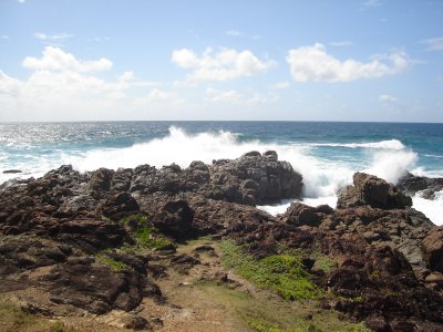 Scenery at Hastings Point (15).JPG