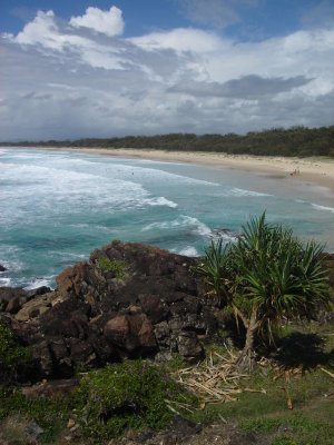 Scenery at Hastings Point (18).JPG