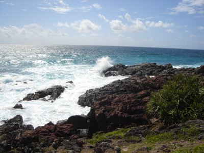 Scenery at Hastings Point (9).JPG