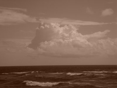 Scenery at Hastings Point.JPG