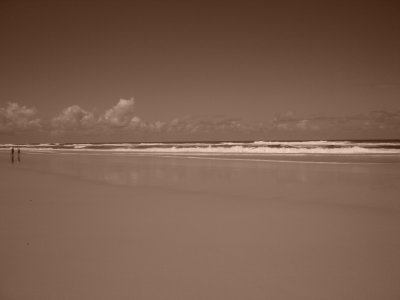 The beach at Salt - Kingscliff.JPG