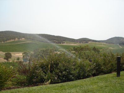 Yarra Valley Wine tasting (4).JPG