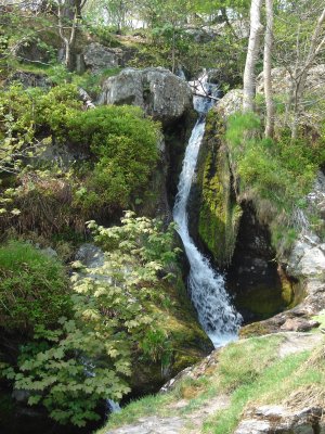 Our walk up Pistyll Rhaeadr (8).JPG