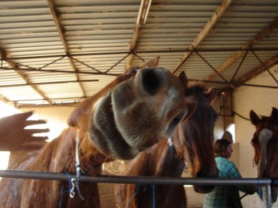 Gives us a kiss!!.JPG