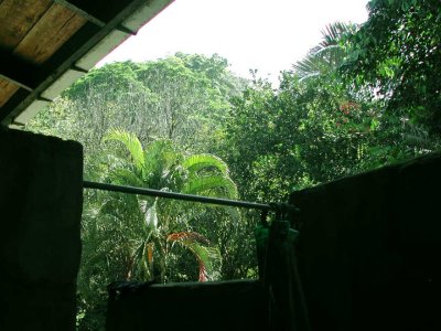 View from Shower