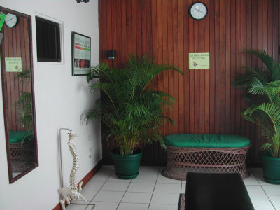 Principle Treatment Room - Costa Rica Chiropractic