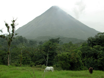 Volcano Arenal & Horses Grazing