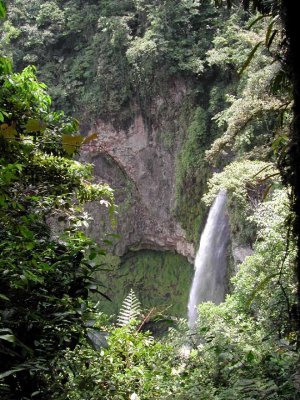 Children's Eternal Rainforest Waterfall