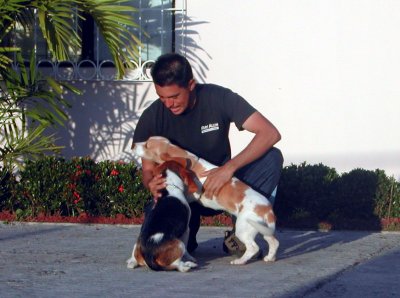 Carlos & my Pups