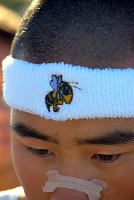 Hornet Pride