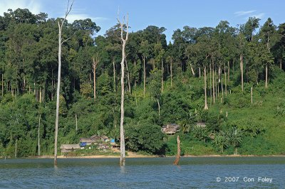 Tasik Temenggor