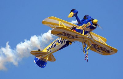 UTTERLY BUTTERLY FLYING CIRCUS