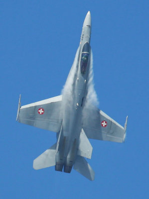 F-18 HORNET