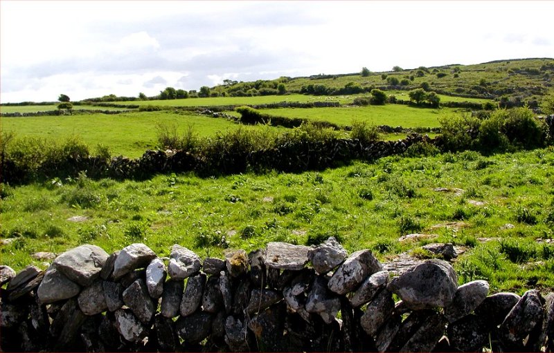 Edge of the Burren