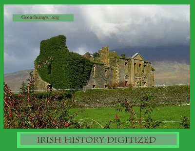 New Irish history web site