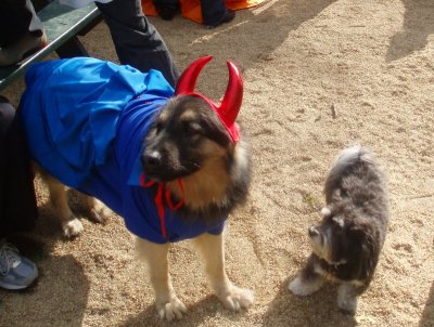 Devil dog and sidekick