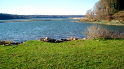 Afternoon at Cold Spring Harbor